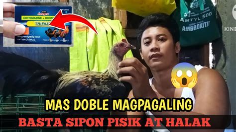 Mabisang Gamot sa SIPON, PISIK, at HALAK ng MANOK.